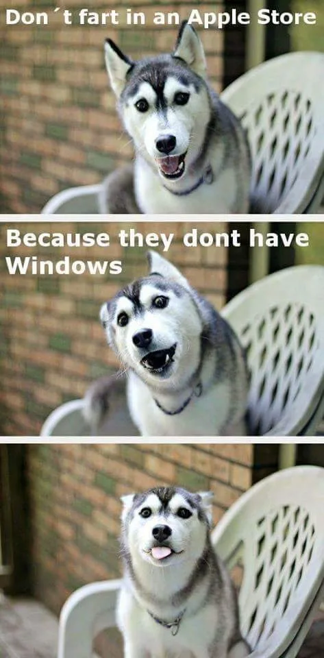 30 MindBlowing Puns To Get You Through The Day