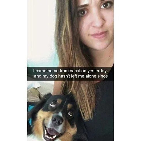 30 Extremely Cute Dog Memes To Start Your Day With