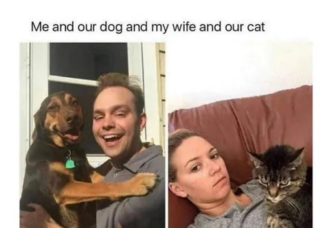 30 Adorable Dog Memes To Laugh At