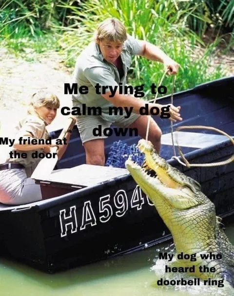 30 Adorable Dog Memes To Laugh At