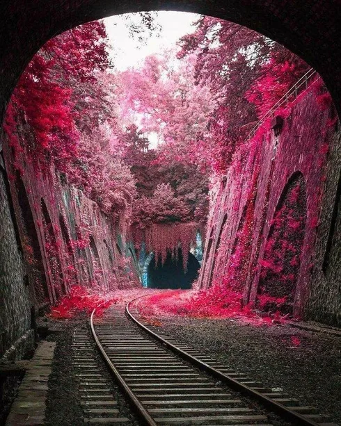 Abandoned Beauties Pics 6401B78Bd730F 700