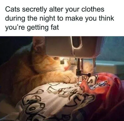 30 Hilariously Awkward Memes That Will Make You Laugh