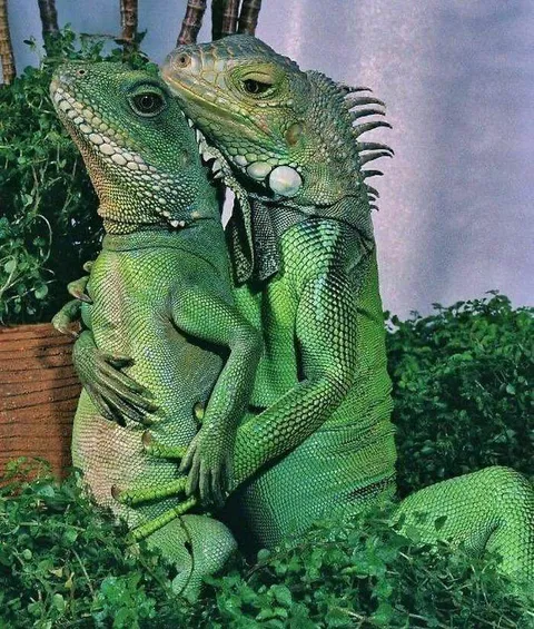 30 Adorable Times People Spotted Animals Doing Unusual Things