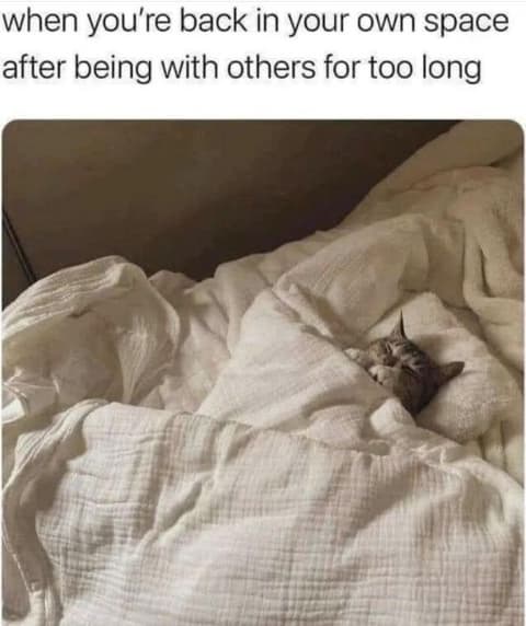 30 Funny Memes That You Might Find Painfully Relatable