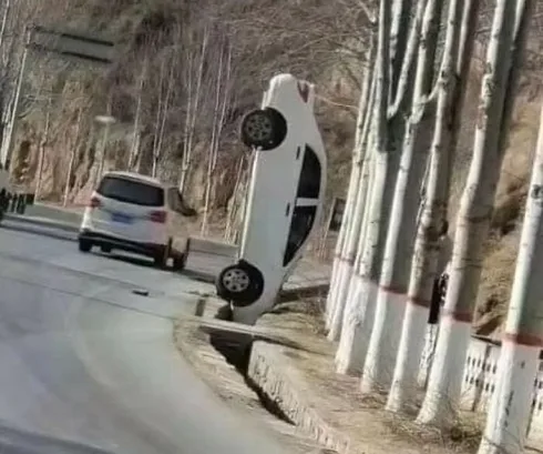 Unfortunate Events Pics 654C8F1E269F5 700 654Cc0Ef18F92 700