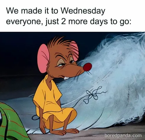 Wednesday Memes 16 66Bc93A4666A1 700