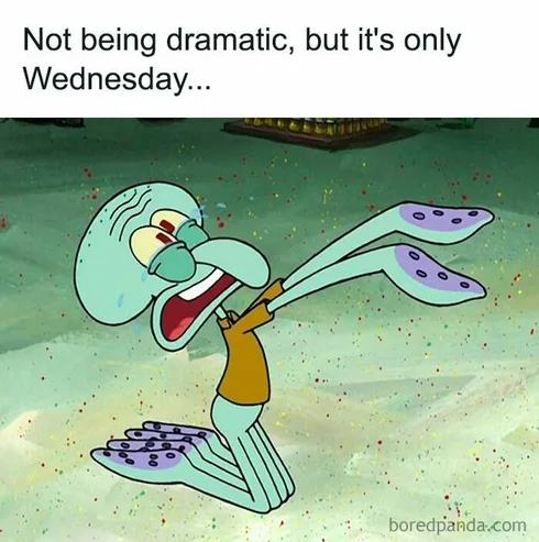 30 Hilarious Wednesday Memes