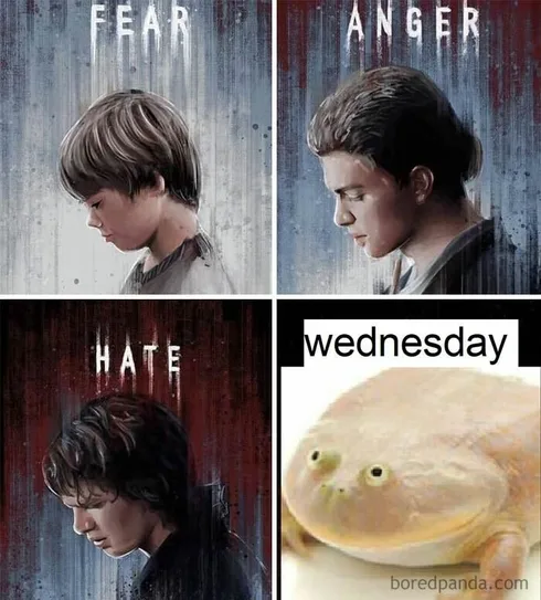 Wednesday Memes 4 66Bc93839A4Fd 700