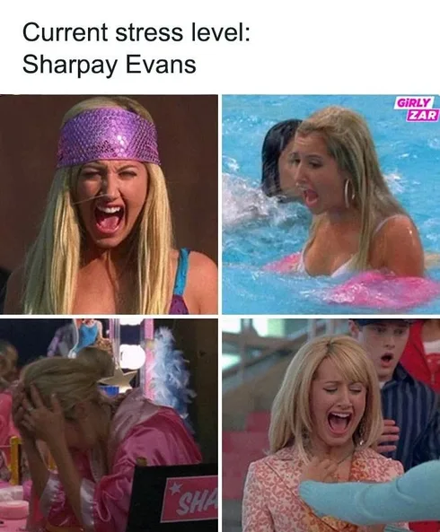 Funny Girly Memes Girlyzar11Jpg 66Bcc5F08D26B 700