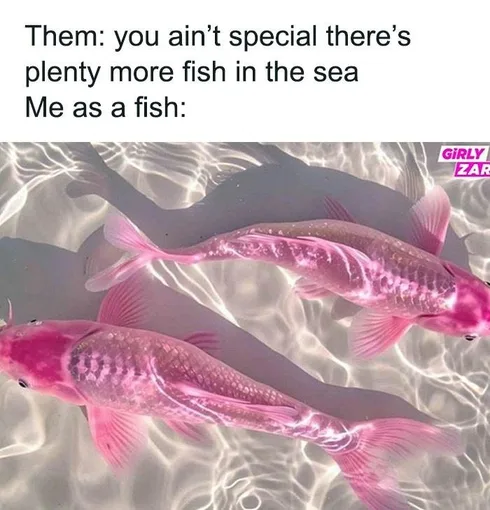 Funny Girly Memes Girlyzar9Jpg 66Bcb92B657C4 700