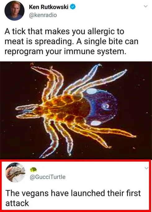 30 Instances Where The Comments Outshined The Post
