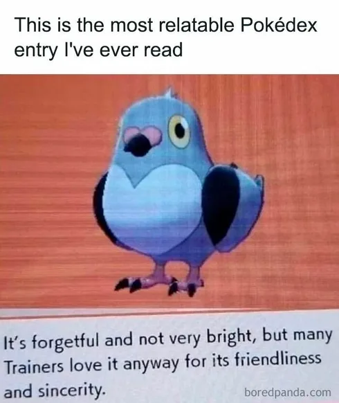 30 Pokémon Memes That’ll Shock You With Laughter