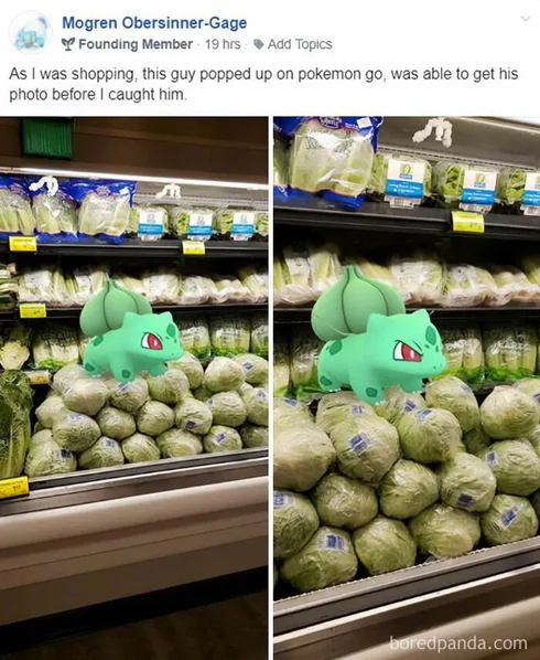 Pokemon Meme 23 66E0448770Af1 700