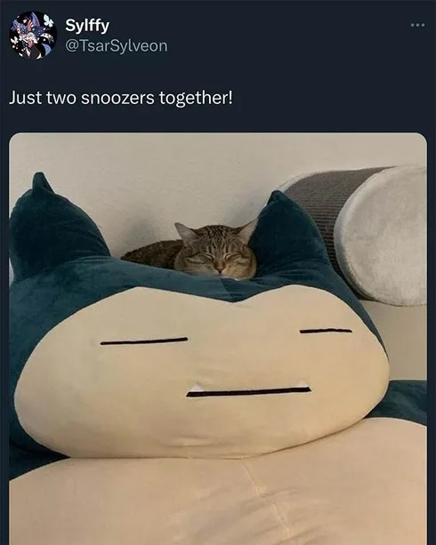 Pokemon Meme 3 66E0445Bd1C57 700