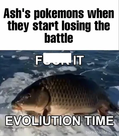Pokemon Meme 8 66E04468025Ca 700