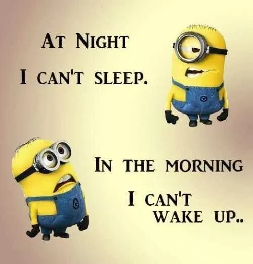 Funniest Minion Quotes Of The Week