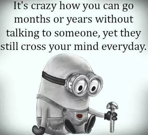 Funny Minions Pictures Of The Week