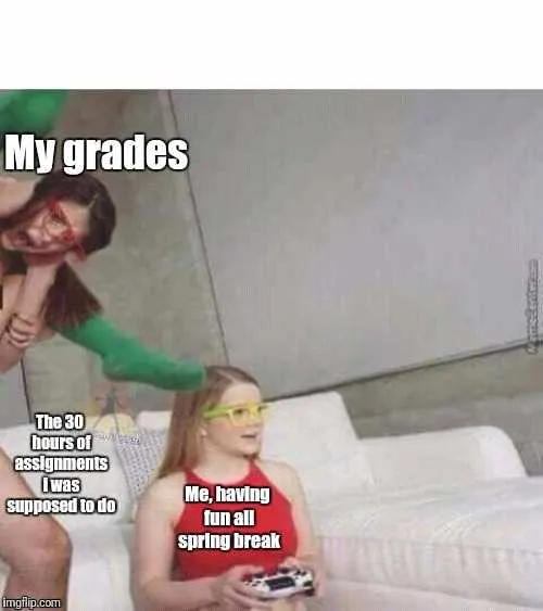 32 Funny Spring Break Memes The Funny Beaver