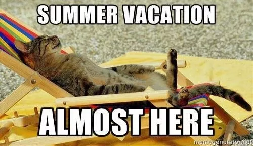 20 Of The Funniest Summer Holiday Pet Pictures