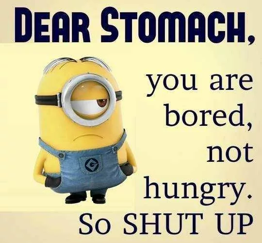 Hilarious Minion Quotes That'll Have You In Stitches | The Funny Beaver