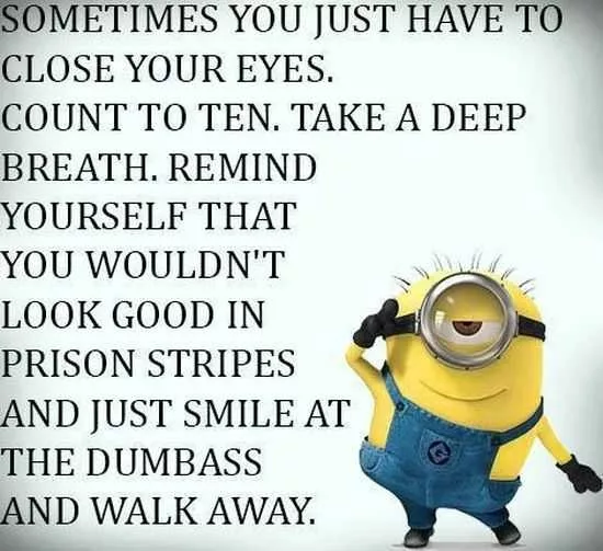 Funny Minions Pictures Of The Week