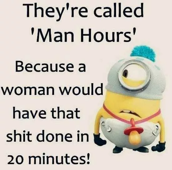 Funny Minions Pictures Of The Week