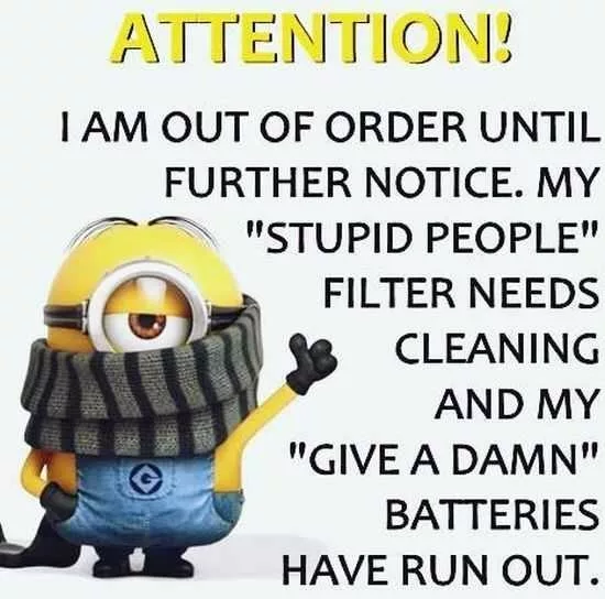 New Minions Quotes Of The Week | The Funny Beaver