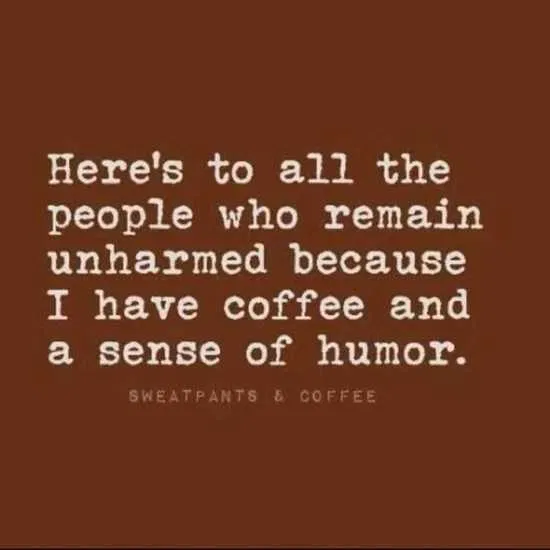 30 Hilarious Quotes And Sayings | The Funny Beaver