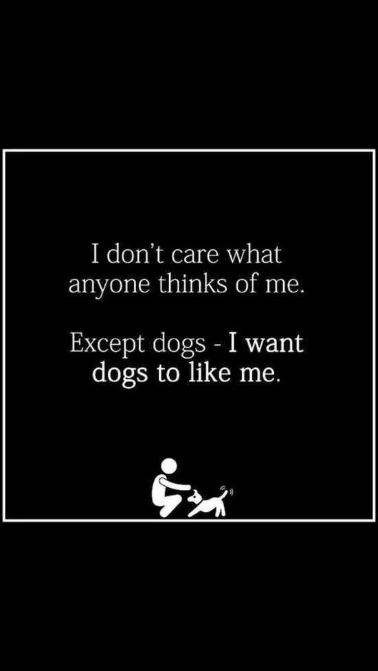 30 Hilarious Quotes And Sayings | The Funny Beaver