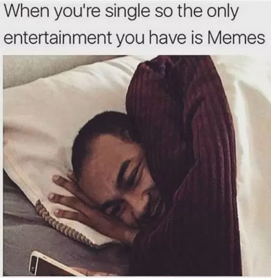 71 Hilarious Memes About Single Life So You Feel Better