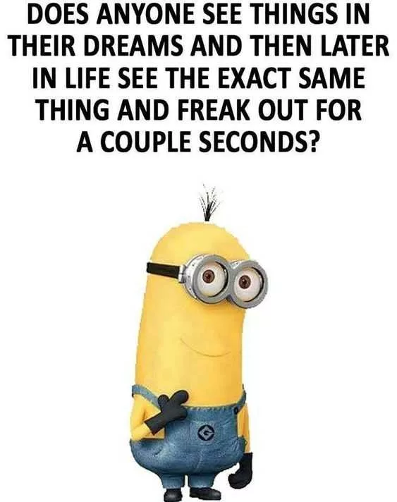 21 Funny Minion Quotes About Life You'll Love