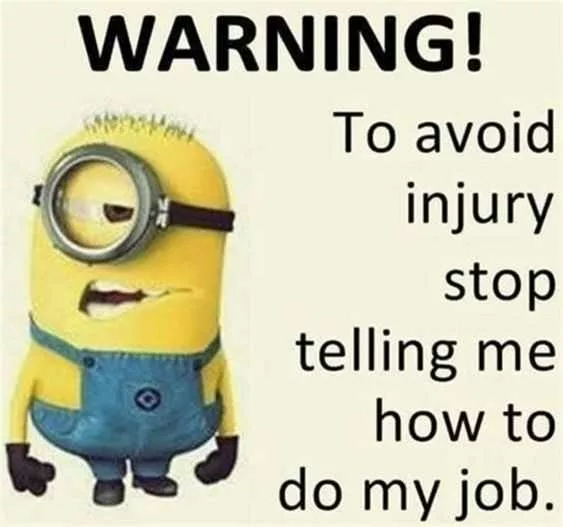 30 Hilarious Minion Quotes