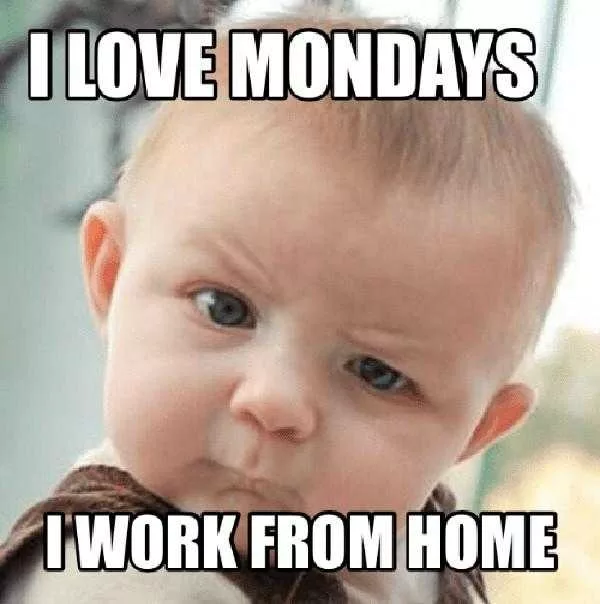 Funny Work From Home Memes | The Funny Beaver