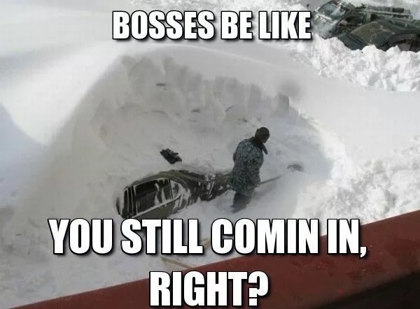 20 Winter Fun Memes To Laugh At