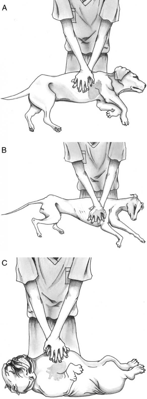 CprFigure4