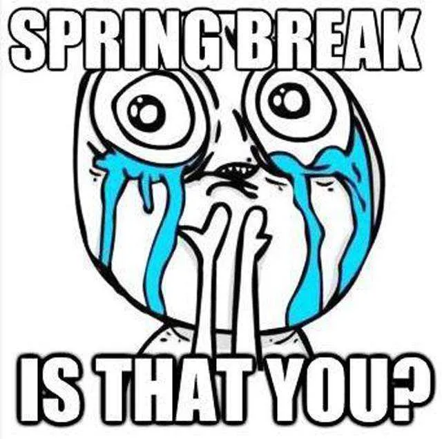 32 Funny Spring Break Memes The Funny Beaver