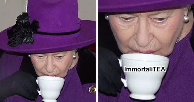 [Image: Royal-Family-Meme-Immortal.jpg]
