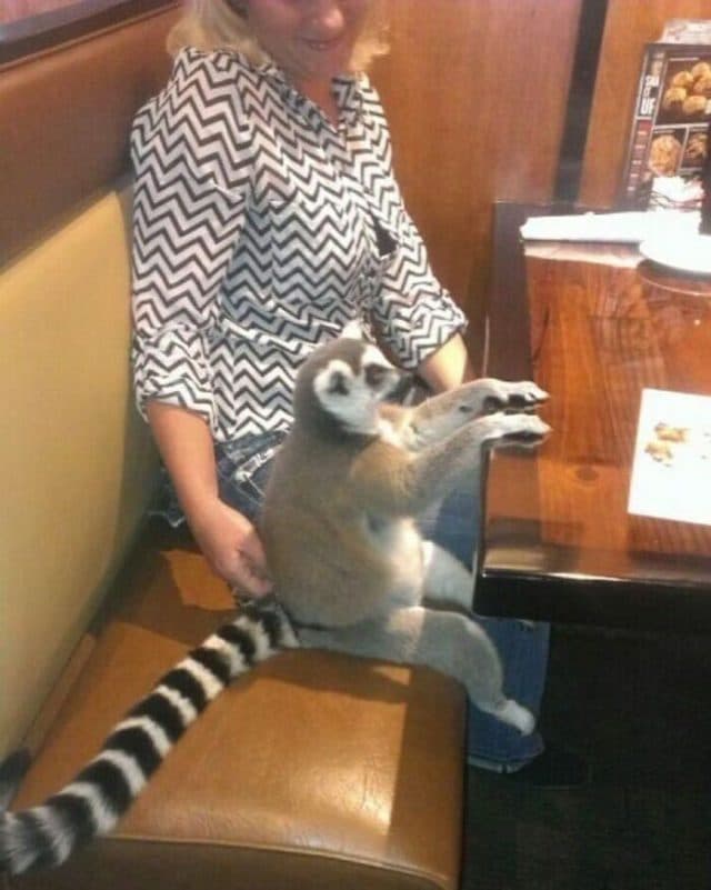 30 Bizarre Pictures That Will Leave You Stunned