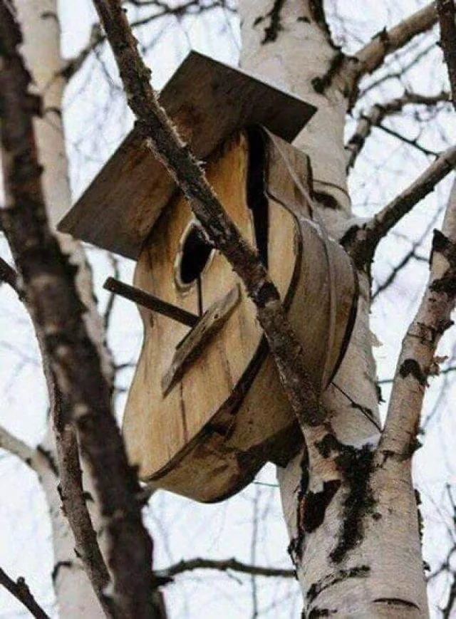 30 Hilarious Pics Of Random Musical Instruments!