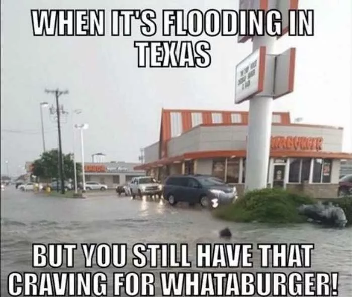 Funniest Texas Hurricane Memes | The Funny Beaver