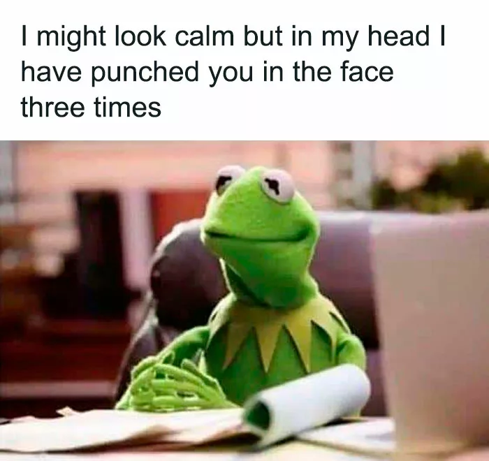 30 Funny Kermit The Frog Memes That Might Make Your Day