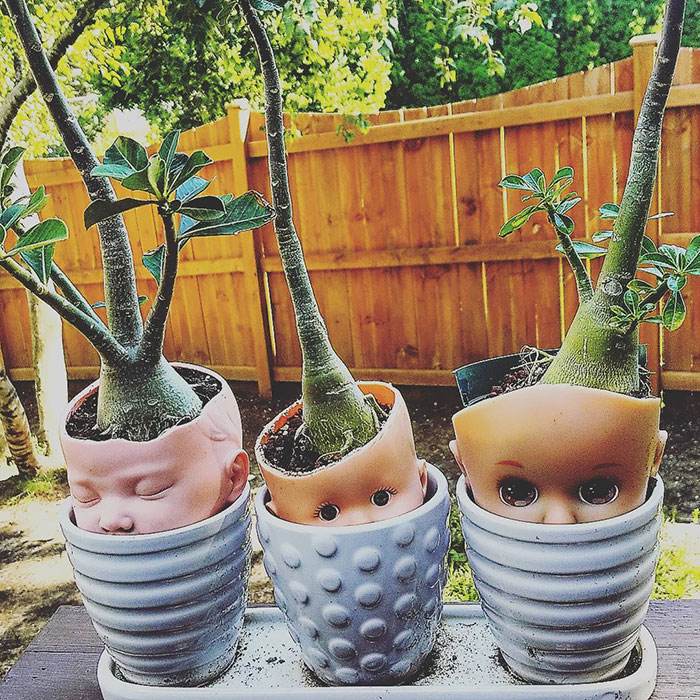 30 DIY Attempts That Went Hilariously Wrong