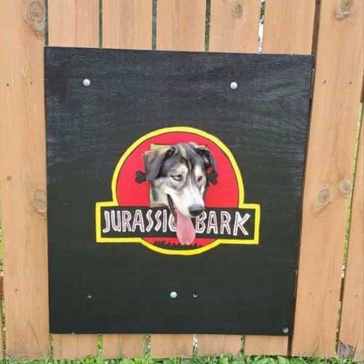 Hilarious Animal Photos With Captions  Bark Worse Than His Bite