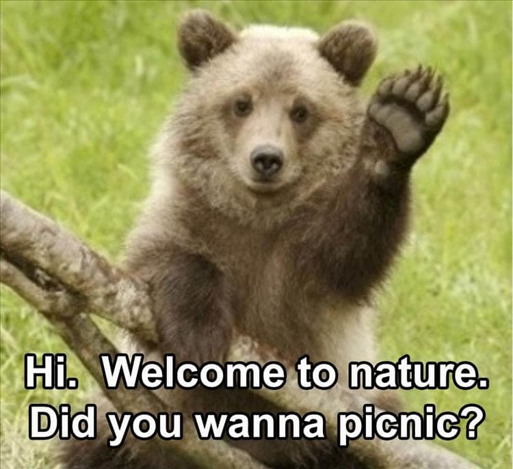 Top 32 Funny Animal Memes Of The Day 609404562Fa02