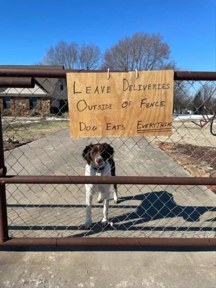 Top 25 Memes About Cats And Dogs You'll Love To Share 1