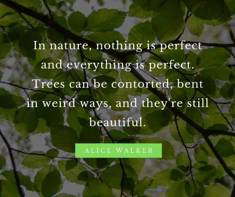 10 Beautiful Quotes For Nature Lovers