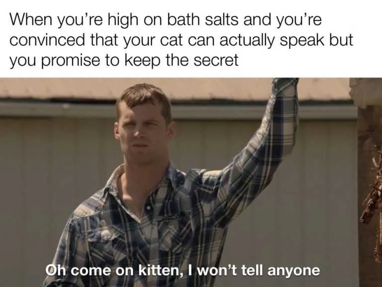 Pitter Patter, Here's 25 Letterkenny Memes For Ya