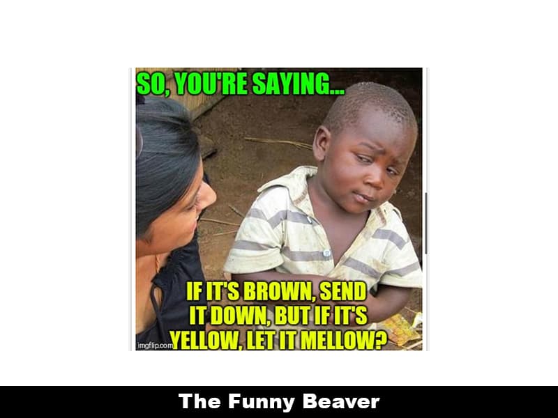 23 Funny Drought Memes That'll Water Your Crops