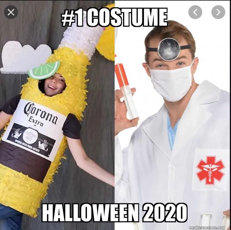 20 Halloween 2020 Costumes And Halloween 2020 Memes You'll Love