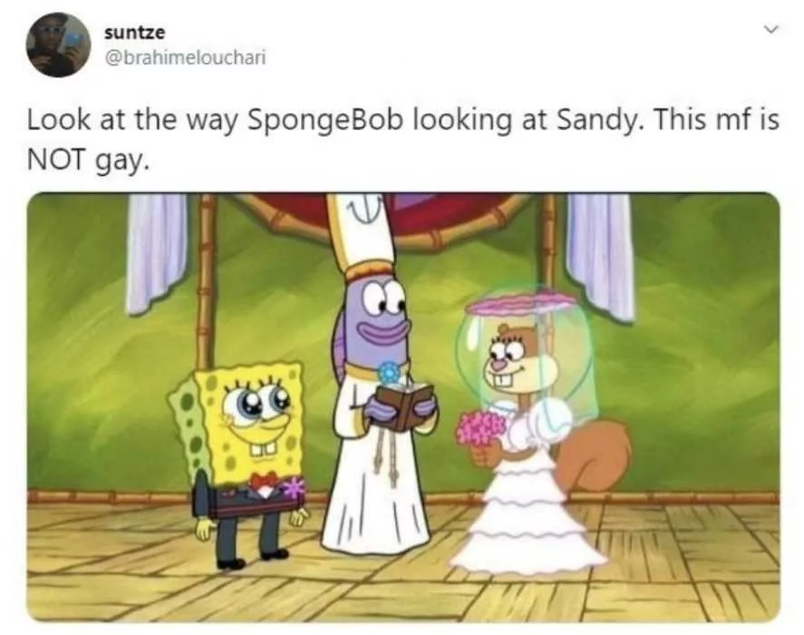 17 Hilarious Gay SpongeBob Memes | The Funny Beaver